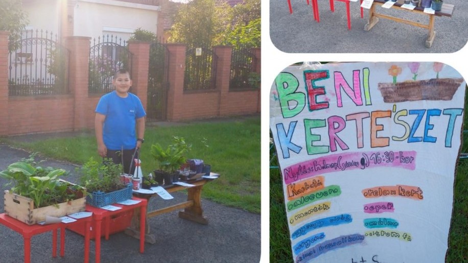 Ügyes kiskertész: saját növényeit árulja egy budapesti kisfiú