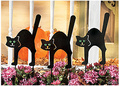 cat-halloween-products_19_120