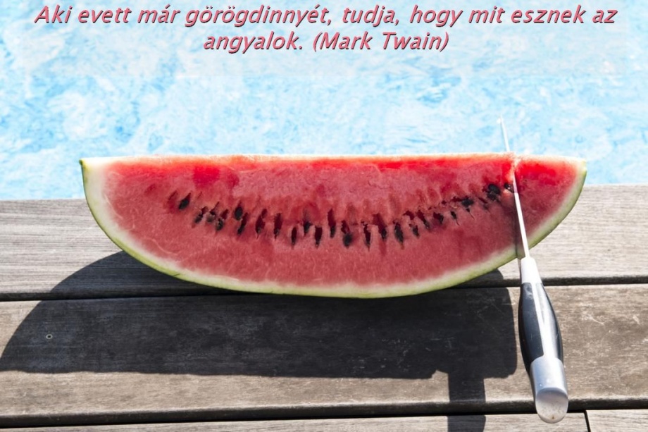 dinnyeeee dinnyeeee