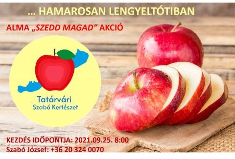 szedd_magad_alma_lengyeltoti szedd_magad_alma_lengyeltoti