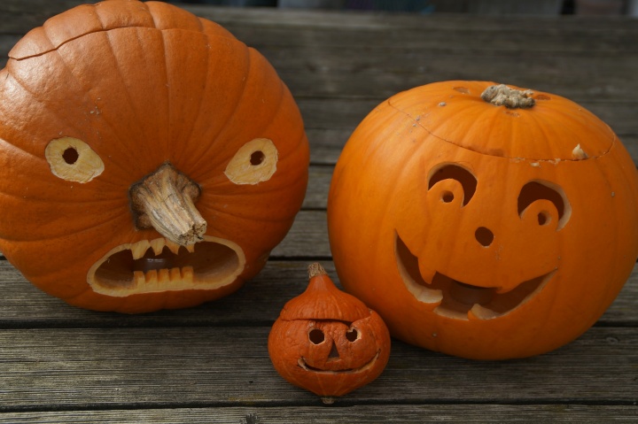 pumpkin-g179e5d170_1920