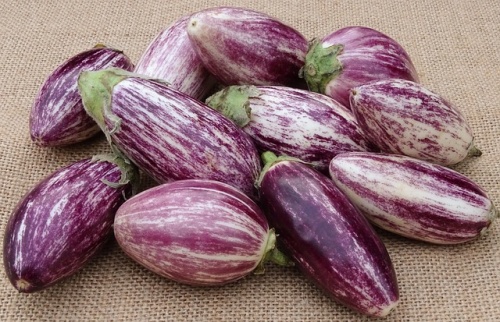 eggplant-3247609_640 eggplant-3247609_640