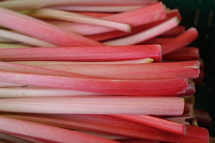 rebarbara-kompot rebarbara-kompot