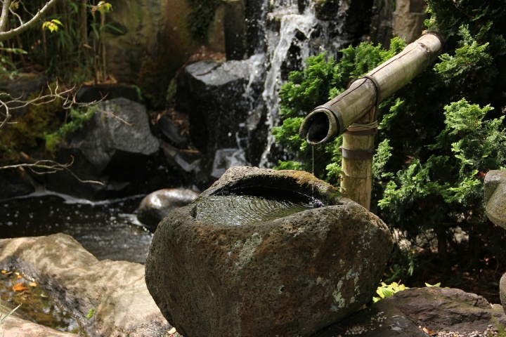 japanese-garden-g57435ebd9_1920 japanese-garden-g57435ebd9_1920