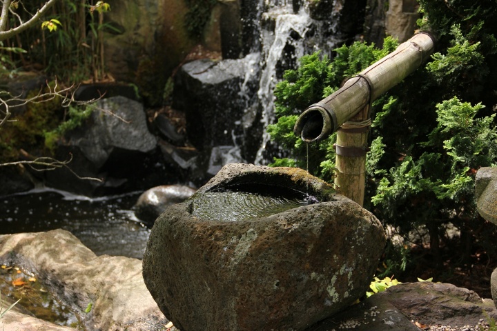 japanese-garden-g57435ebd9_1920