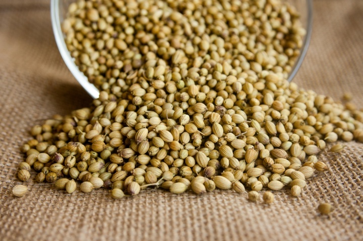 coriander-166989_1920