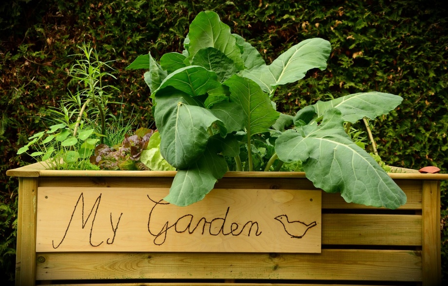 garden-1427541_1280 garden-1427541_1280