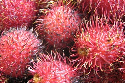 rambutan