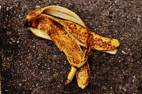 banana-peel-1735083_640