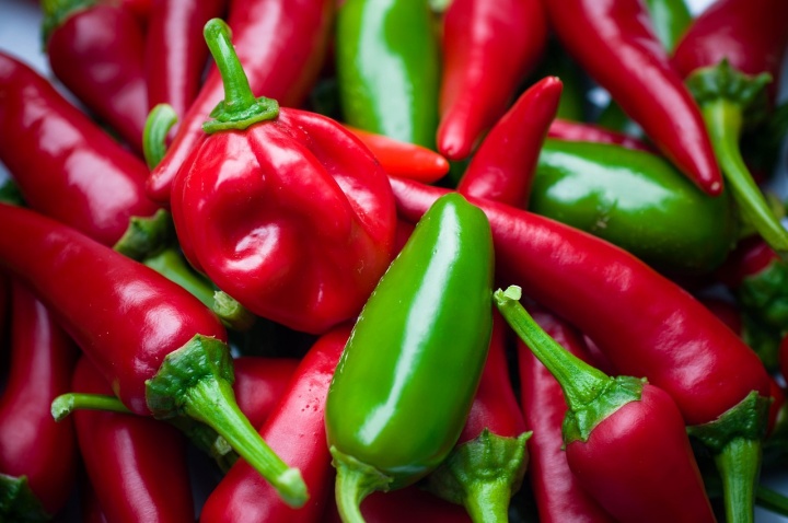 chili_habanero_paprika_termesztse