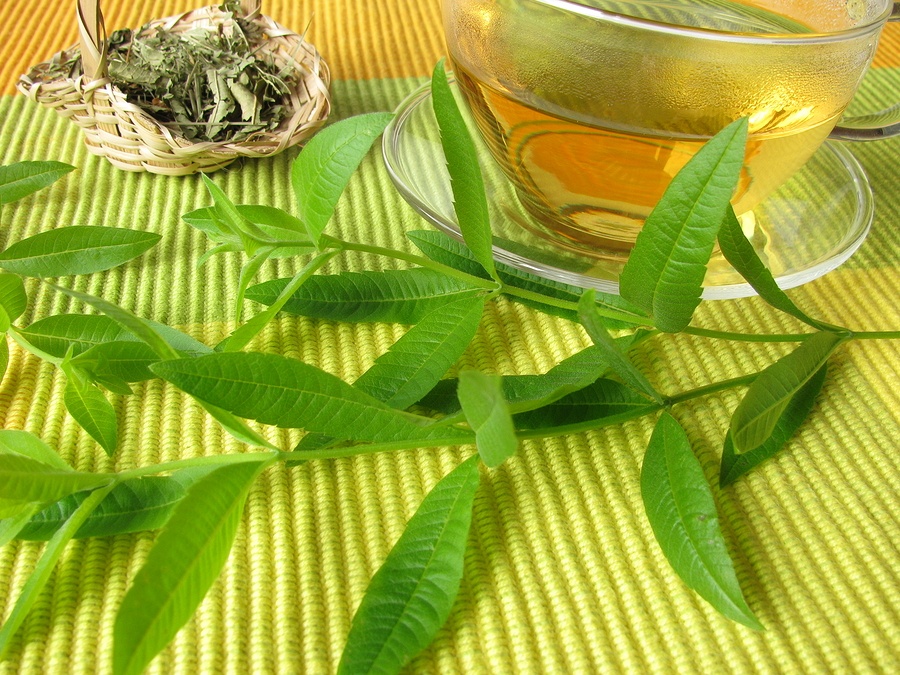 citromverbena_tea