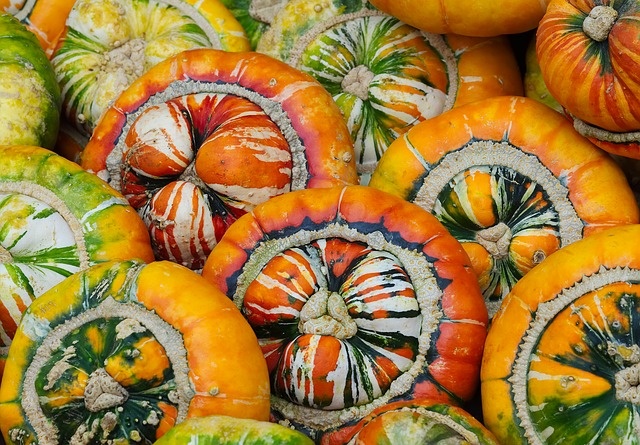 squash-2881408_640 squash-2881408_640