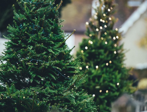 christmas-tree-1149919_1920 christmas-tree-1149919_1920