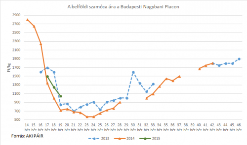 szamóca piaci ára