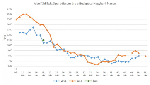 koktélparadicsom piaci ára