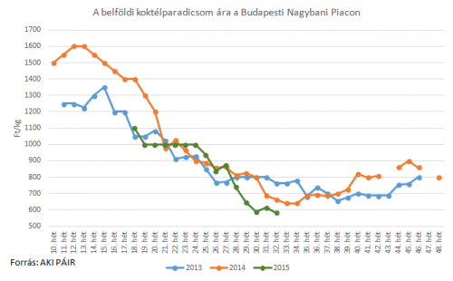 koktélparadicsom piaci ára