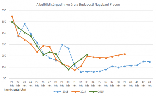 sargadinnye-piaci-ara-34