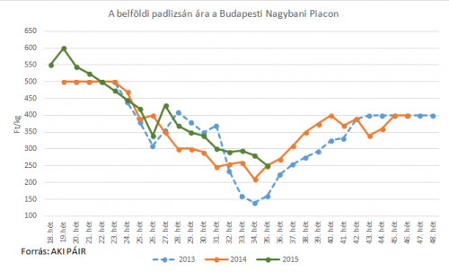 padlizsán piaci ára