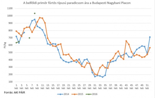 A paradicsom 9. heti piaci ára