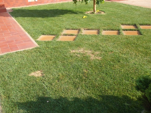 Pajortámadás