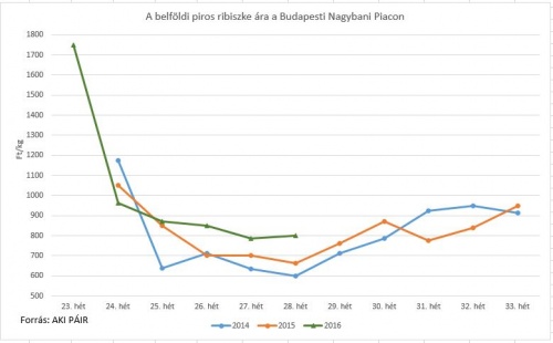 ribiszke29 ribiszke29