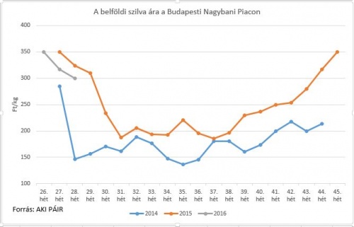 szilva29 szilva29