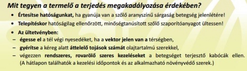 sargasag_szolo sargasag_szolo