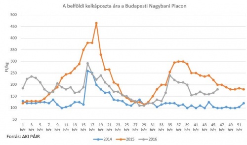 piac47_klkapi piac47_klkapi