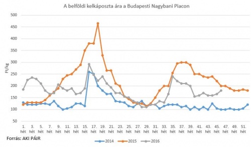 piac47_klkapi