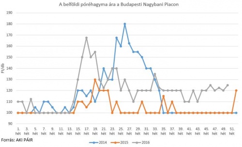 porehagyma_01