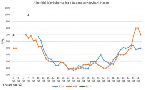 kigypubi2017 kigypubi2017