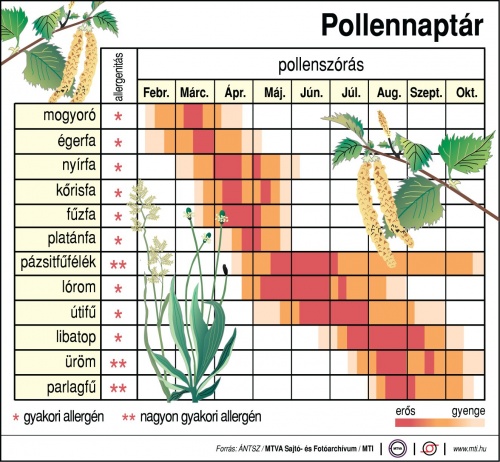 pollennaptr