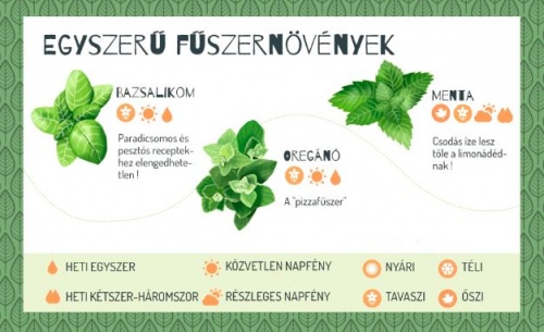 egyszeru_fuszernovenyek egyszeru_fuszernovenyek