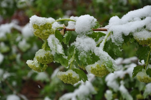 dsc_1066 dsc_1066