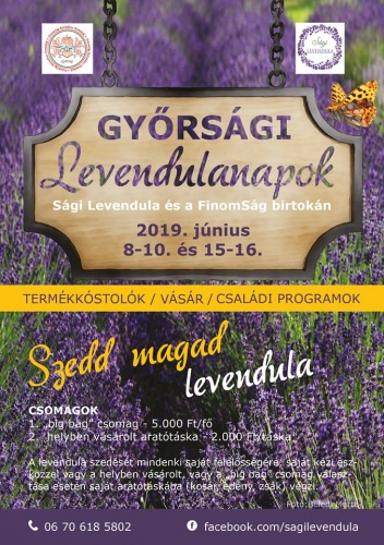 gyorsagai_levendulanapok gyorsagai_levendulanapok