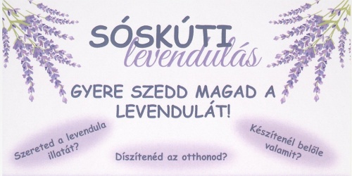 levendula szedd magad 2019 online