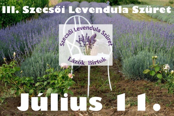 szecsoi_levendula_szuret_2020