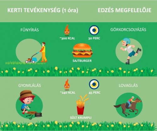 kerti_tevekenyseg1 kerti_tevekenyseg1