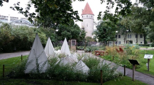 tallin_fokert1 tallin_fokert1