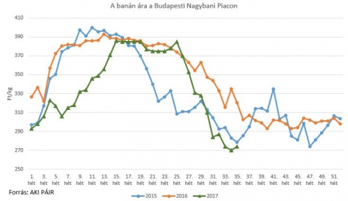 banan_szpet2017