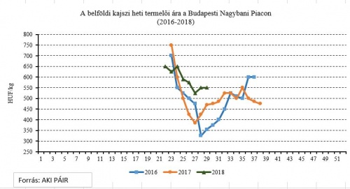 29_het_kajszi 29_het_kajszi