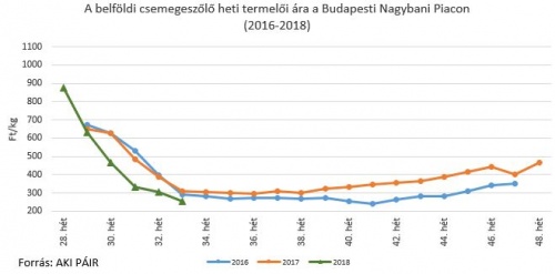 szoloar_2018