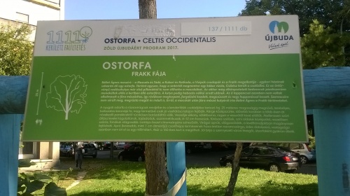 ostorfa_11.ker