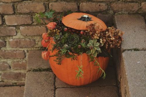 halloween_tok_disz3