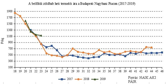 zoldbabar2019