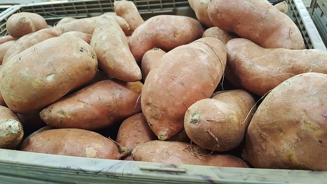 Édesburgonya (batáta) tárolása edesburgonya_batata_tarolasa