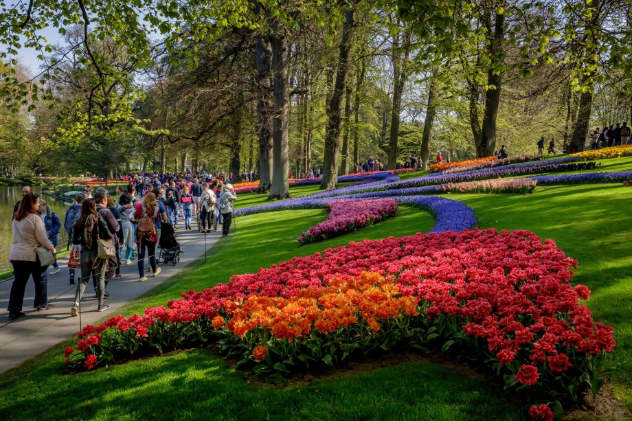 keukenhof2