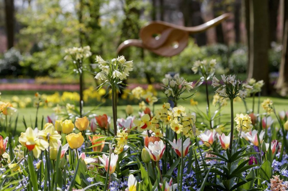 keukenhof5