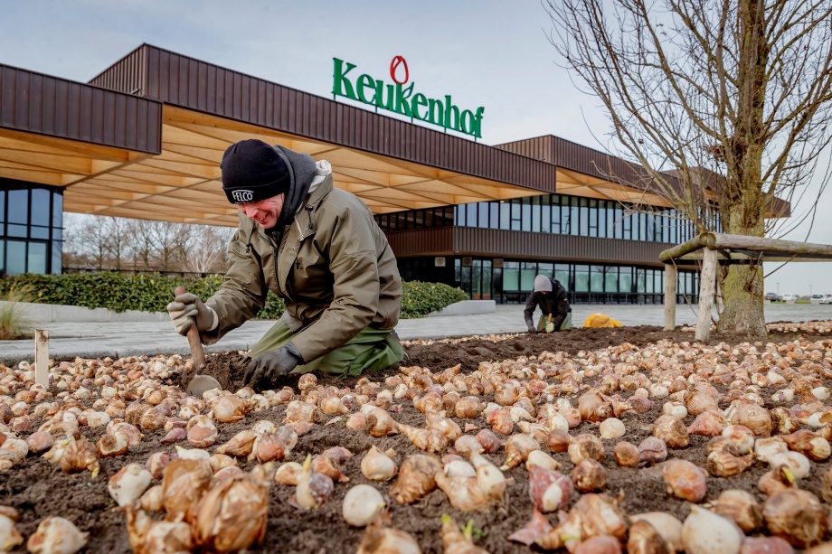 keukenhof_bejarat