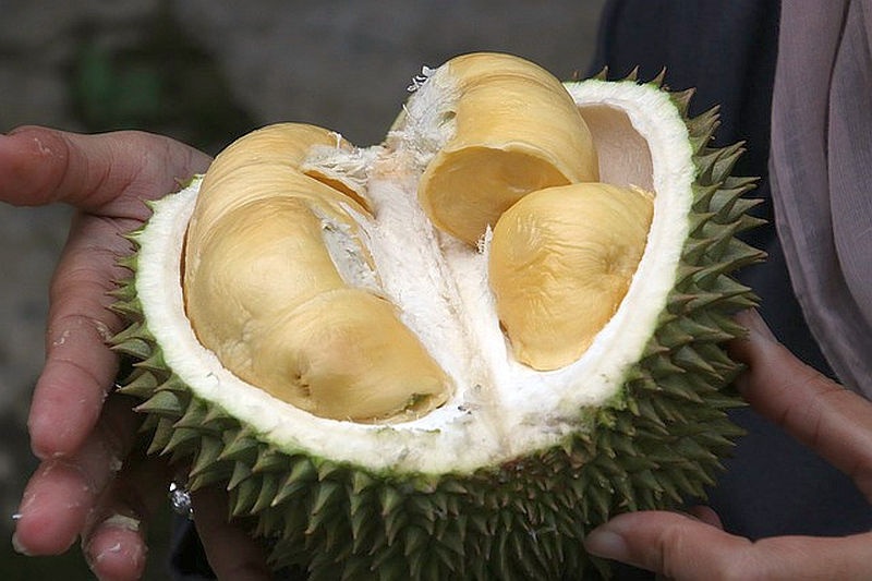 egzotikus_gyumolcs_durian